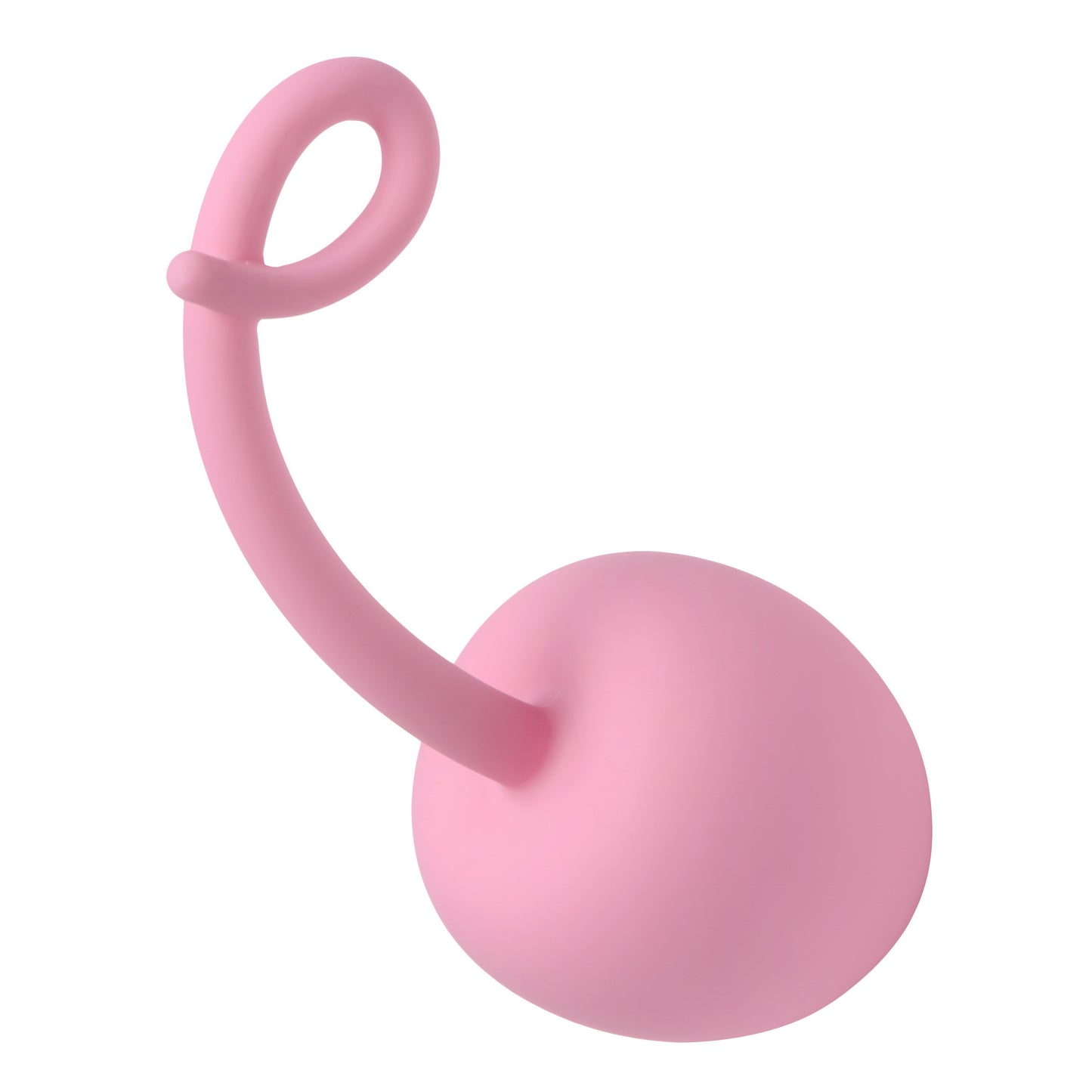 Pig Tail Silicone Anal Plug