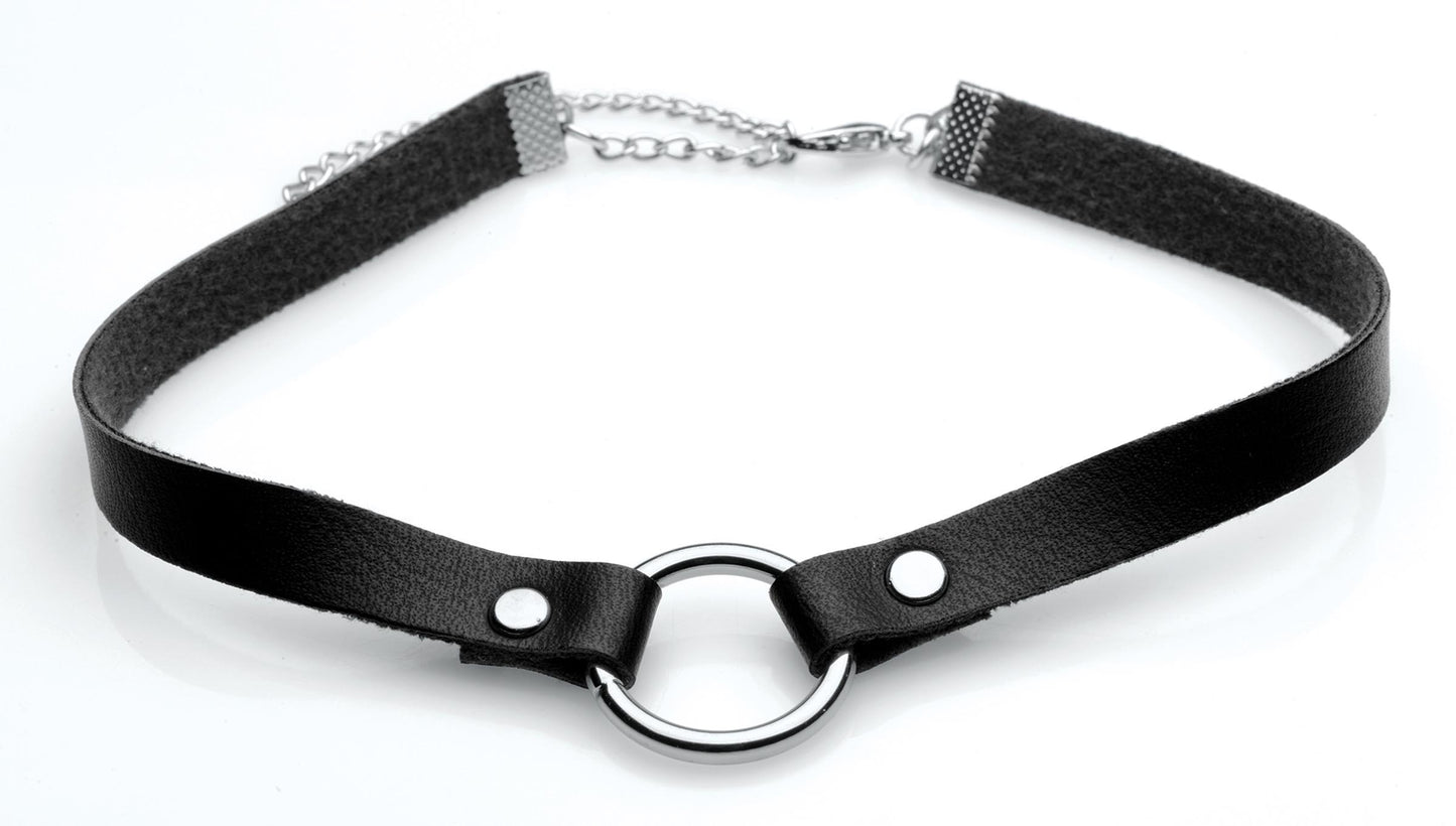 Lush Pet Silver Ring Slim Choker